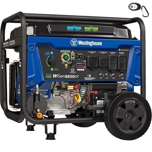 Best Generator for Florida Home