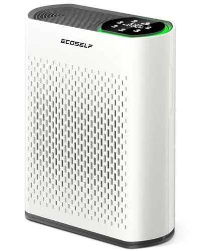 Best Buying A Generator For Home