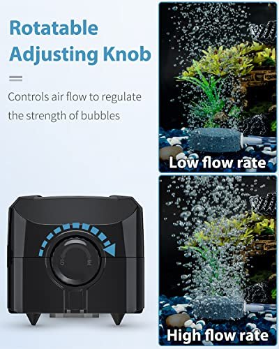 Best Air Pump For Fish Tank