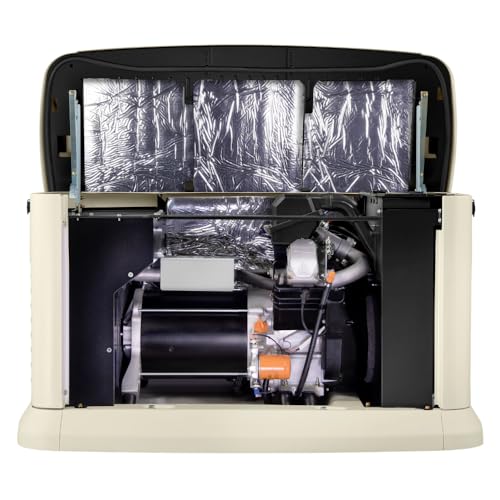 Best 10kw Portable Generator 3