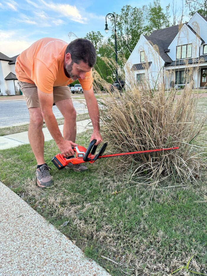 Battery Powered Hedge Trimmer Best