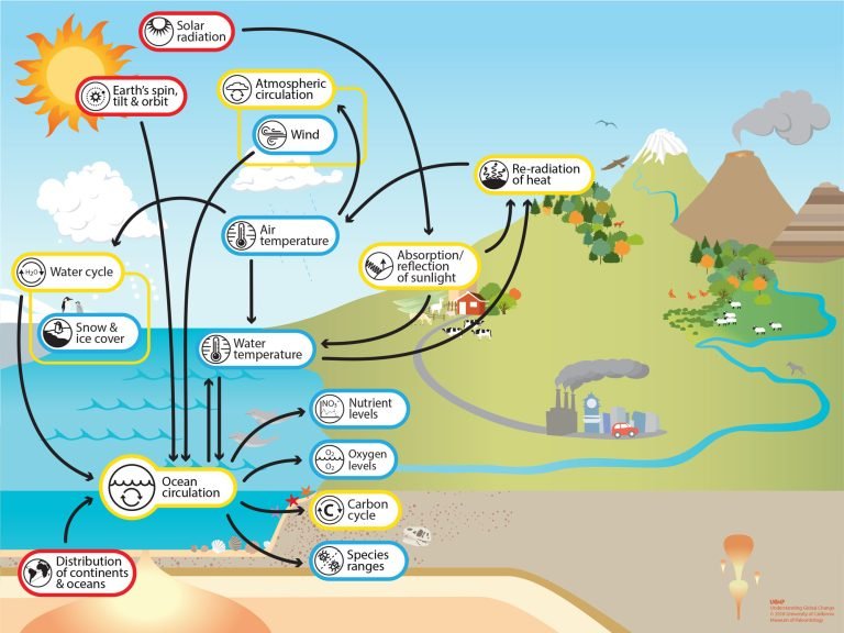 How Much Atmospheric Oxygen Is Generated By The Oceans