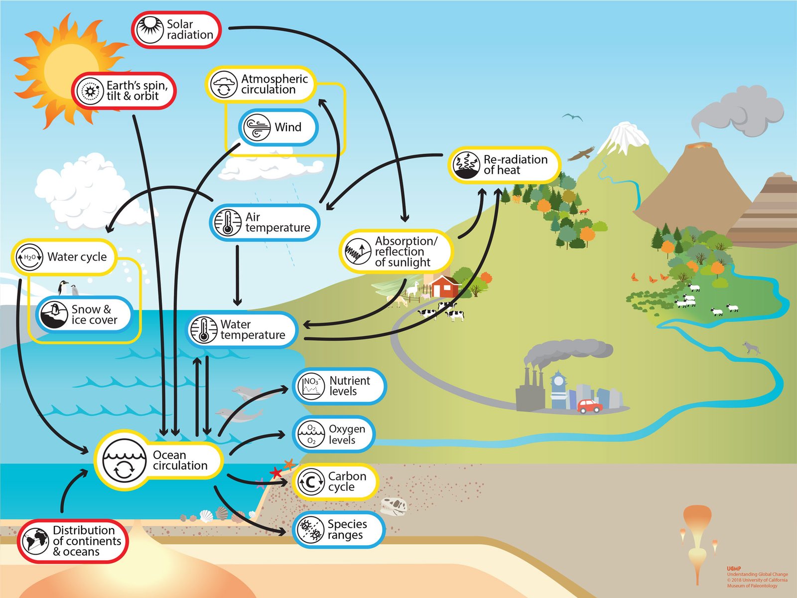 How Much Atmospheric Oxygen Is Generated By The Oceans