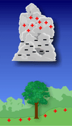 How Is An Electric Field Generated In The Atmosphere