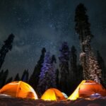 Three illuminated tents surrounded by snowy trees at night, a winter camping illustration