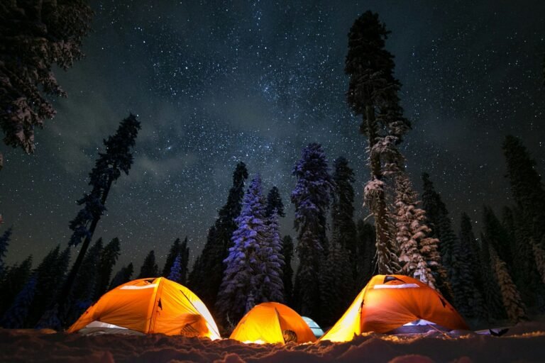 Three illuminated tents surrounded by snowy trees at night, a winter camping illustration