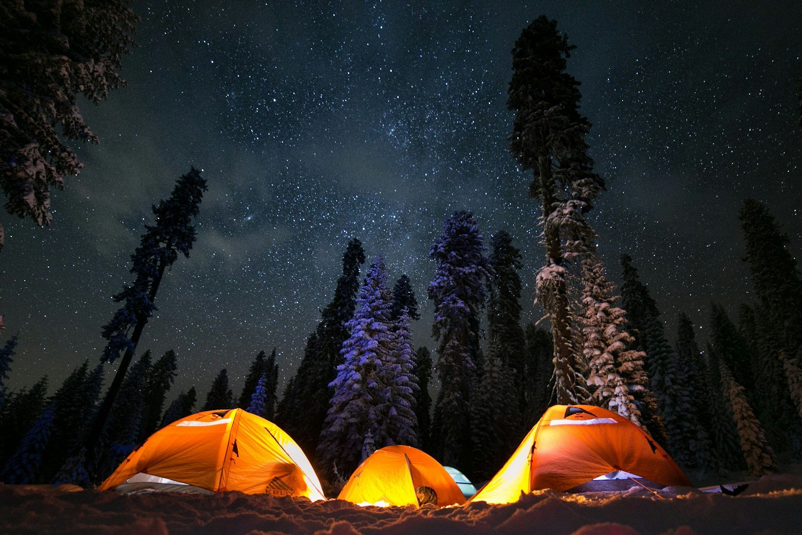 Three illuminated tents surrounded by snowy trees at night, a winter camping illustration