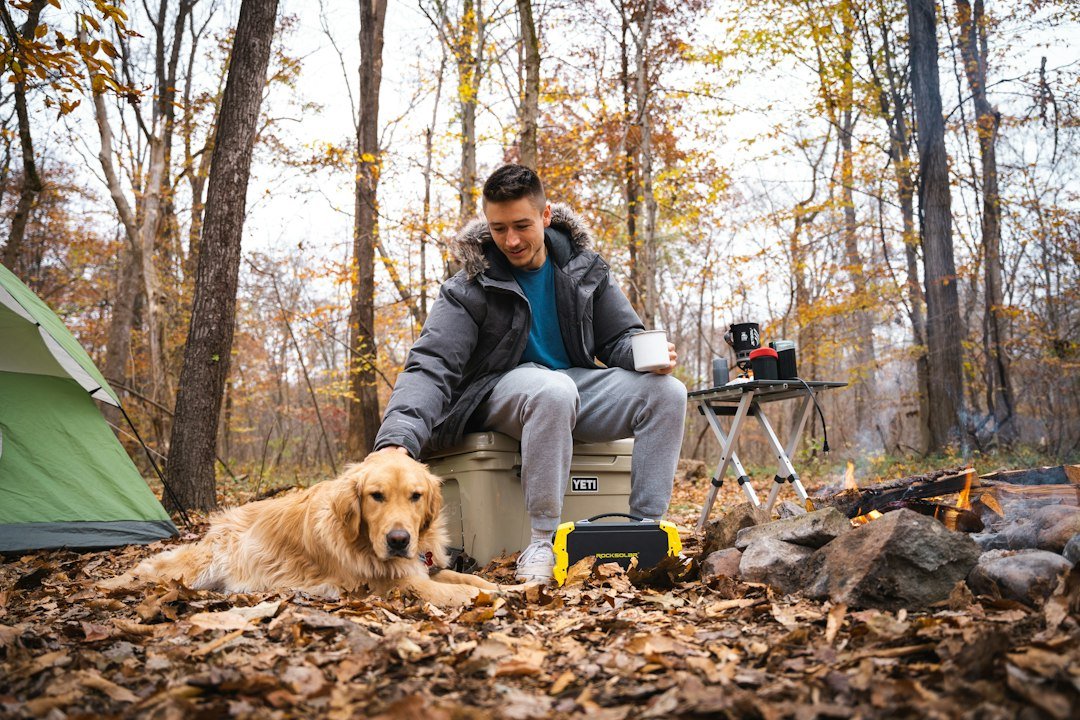 Portable battery power station for camping and emergency electricity backup