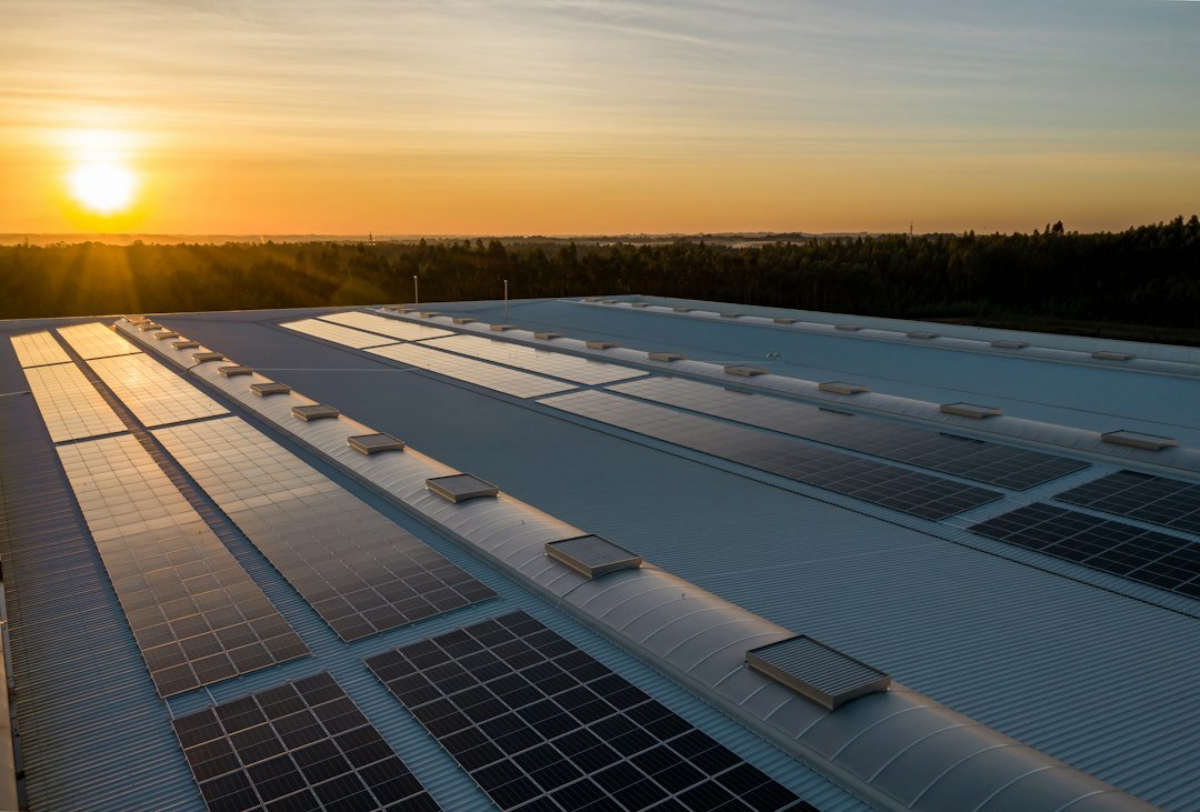 Solar photovoltaic panels under bright daylight illustrating when solar panels generate electricity most efficiently