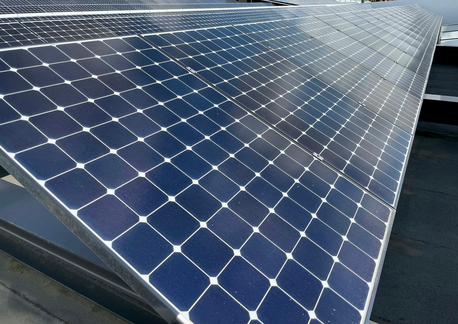 Several framed photovoltaic panels arranged in rows
