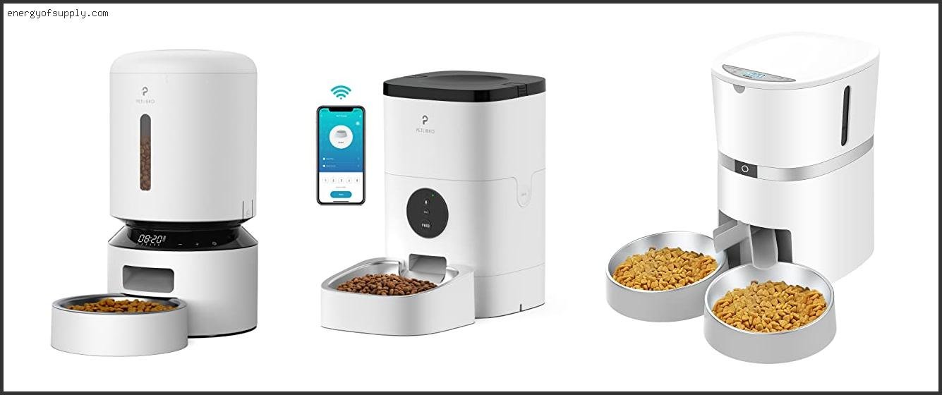 Best Automatic Cat Feeder Wirecutter