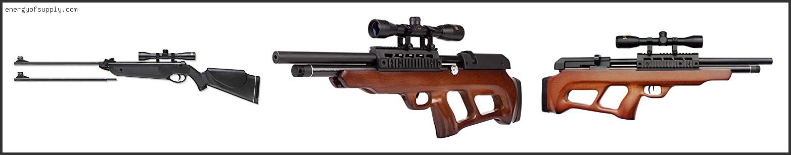 The Best Beeman Air Rifle Of The Year Best Beeman Air Rifle