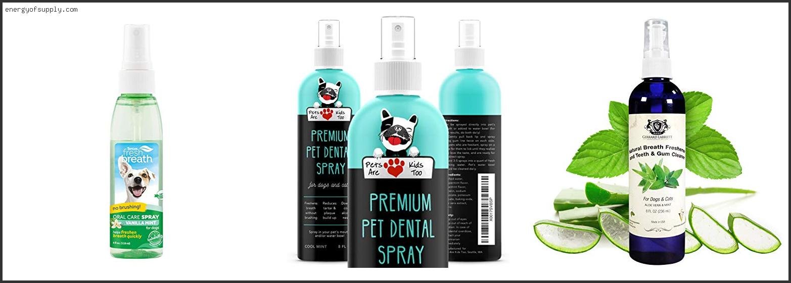 The Best Breath Freshener Spray Of The Year