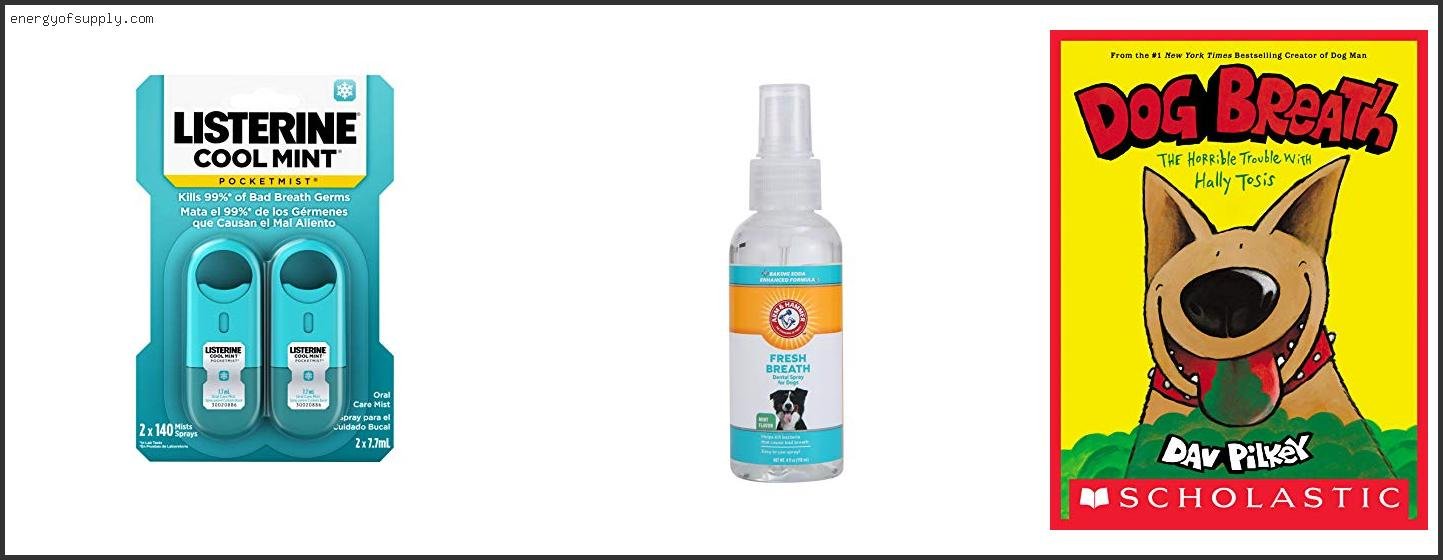 The Best Breath Freshner Of The Year