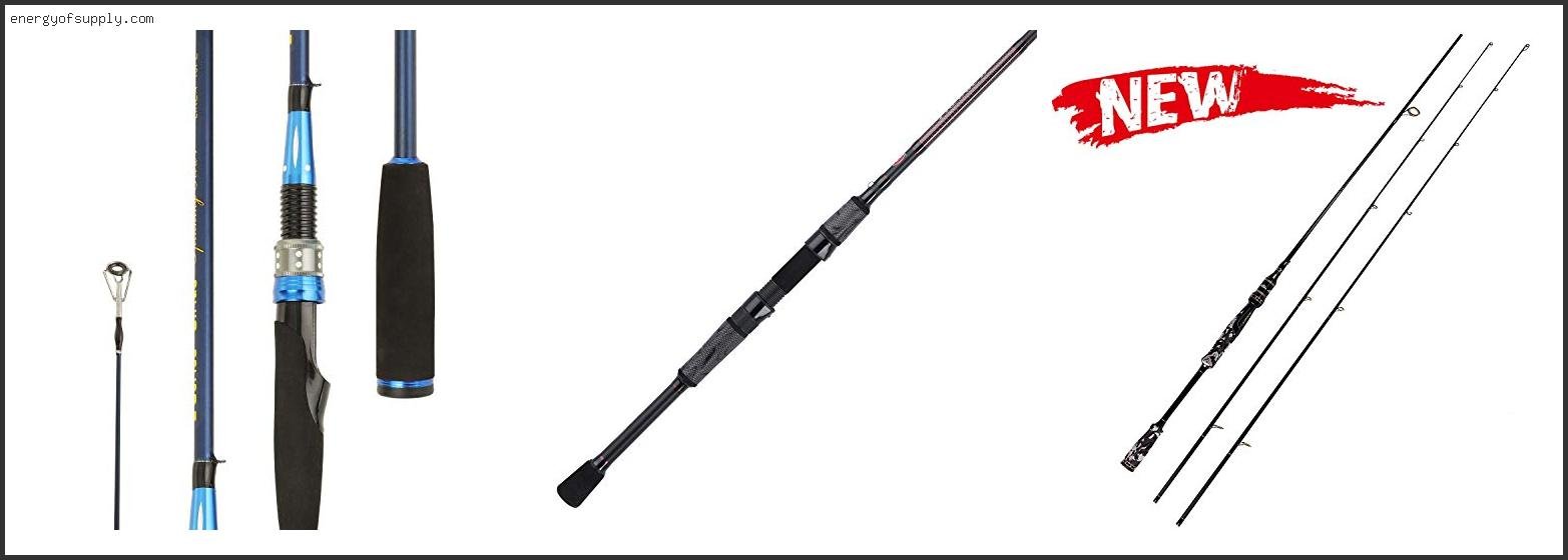 The Best 2 Piece Inshore Spinning Rod Of The Year Best 2 Piece Inshore Spinning Rod