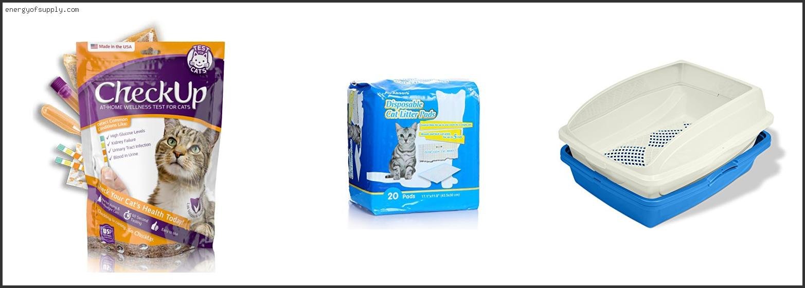 The Best Cat Litter For Diabetic Cats Of The Year Best Cat Litter For Diabetic Cats