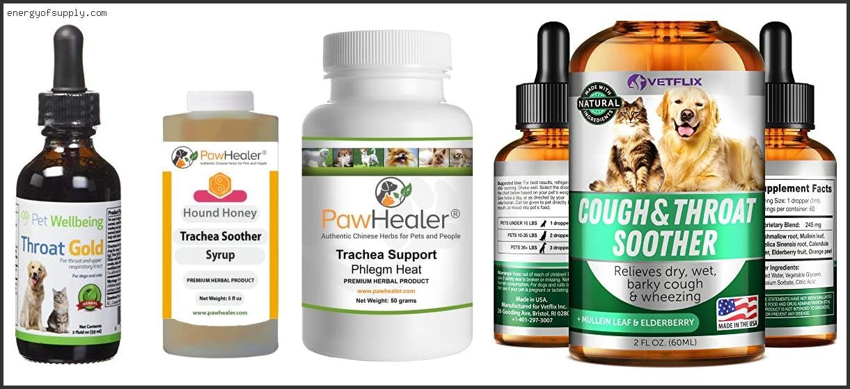 Top 10 Best Dog Food For Collapsed Trachea ( Review & Buying Guide )
