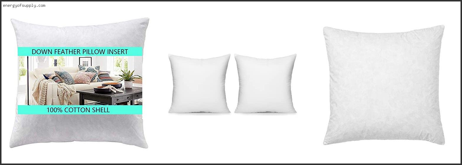 Best Euro Pillow Inserts