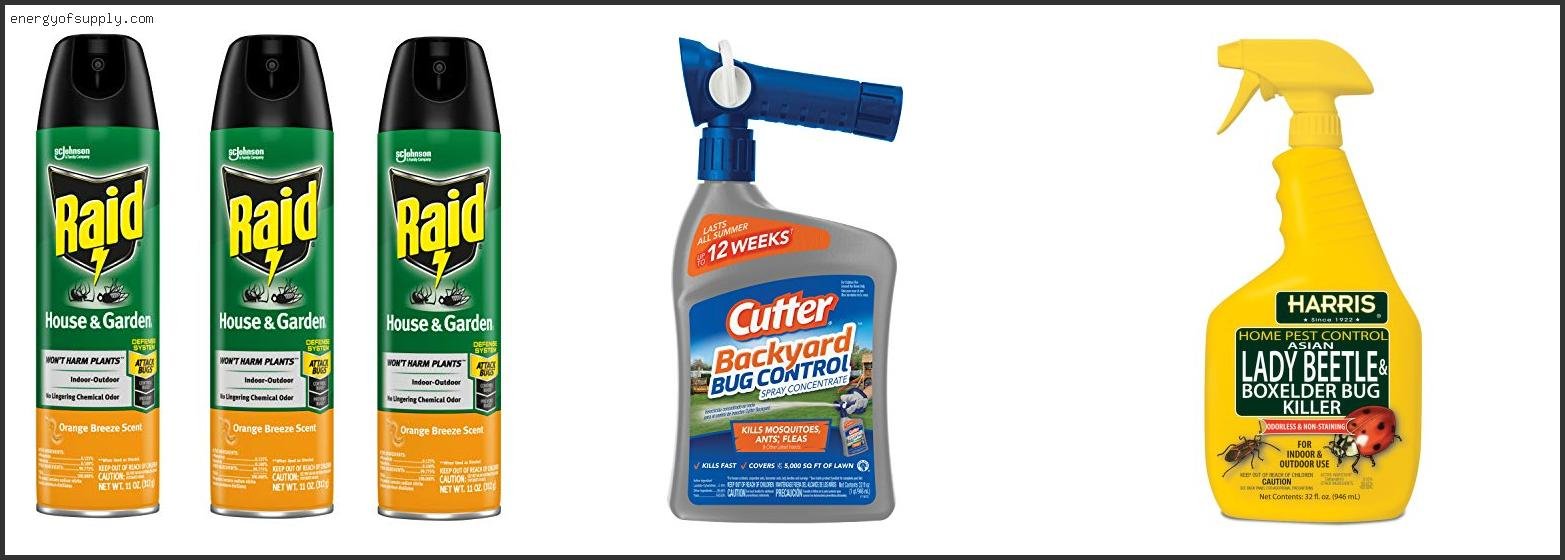 Top 10 Best House Bug Spray ( Review & Buying Guide ) Best House Bug Spray