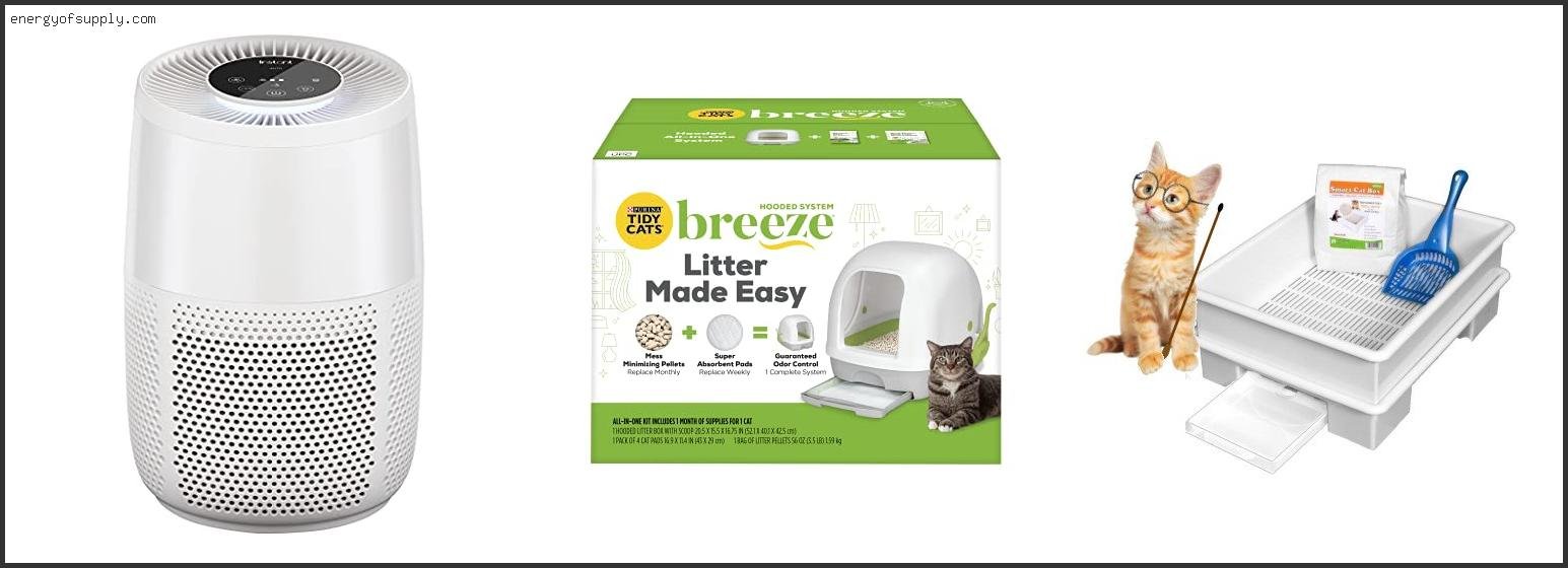 Top 10 Best Litter For Diabetic Cat 2025 ( Updated )