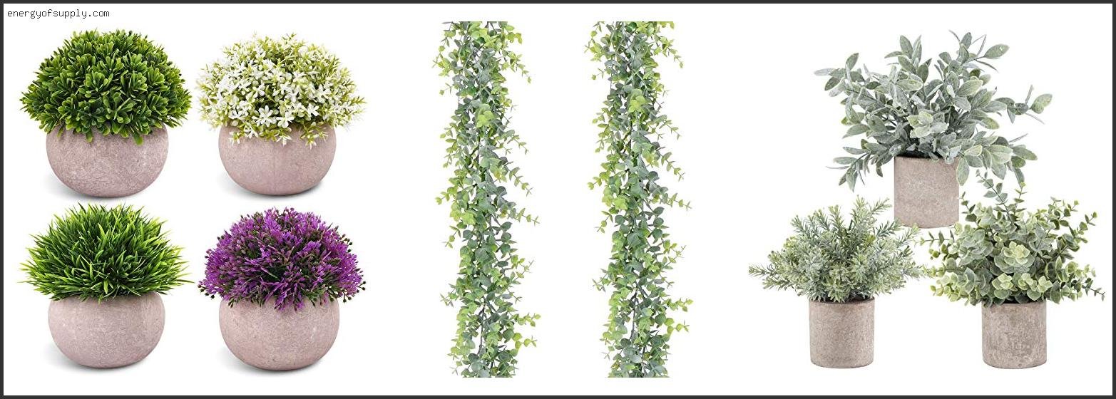 Top 10 Best Place For Fake Plants 2025 ( Updated )