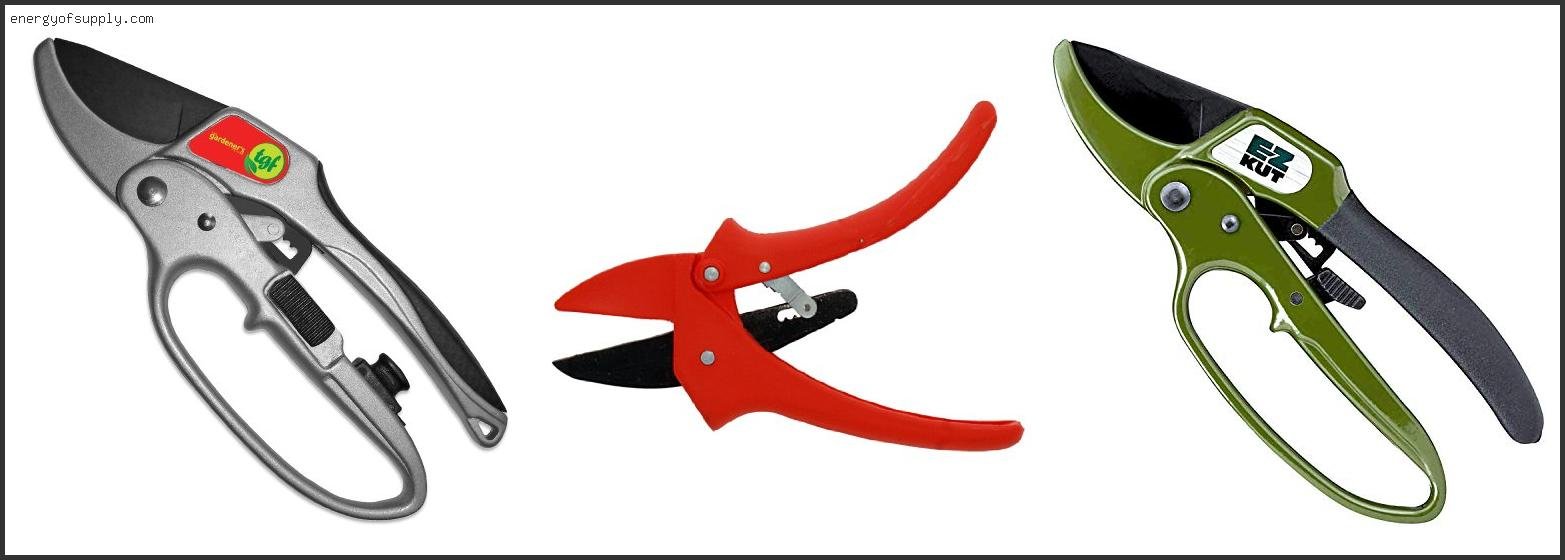 Top 10 Best Ratchet Pruners 2025 ( Updated )