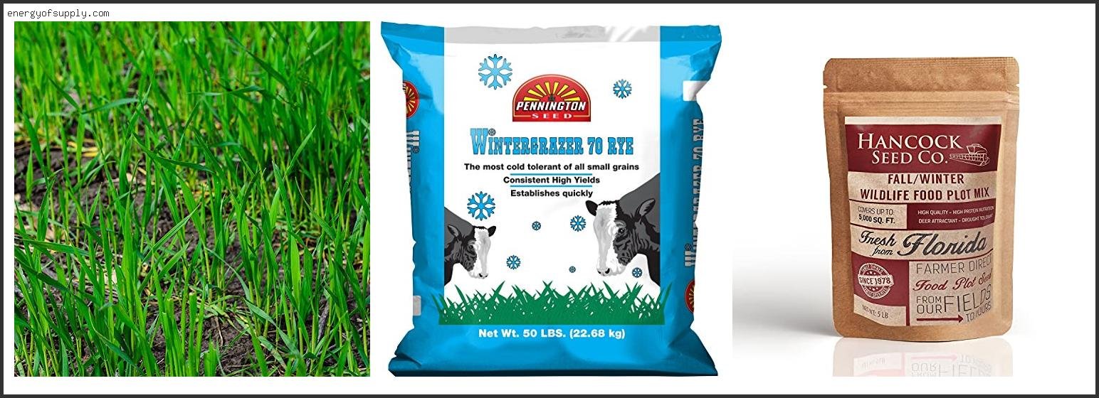 Top 10 Best Rye Grass For Deer 2025 ( Updated )