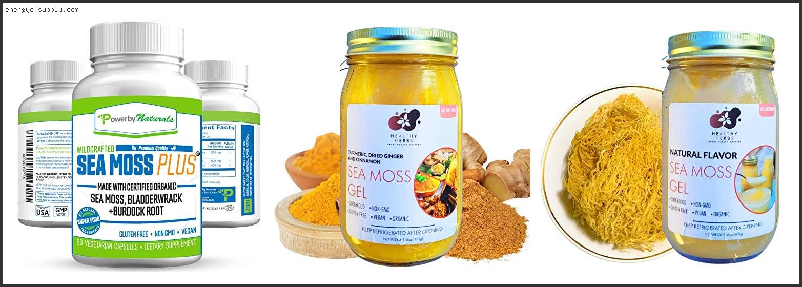 Top 10 Best Sea Moss Gel Brand 2025 ( Updated )