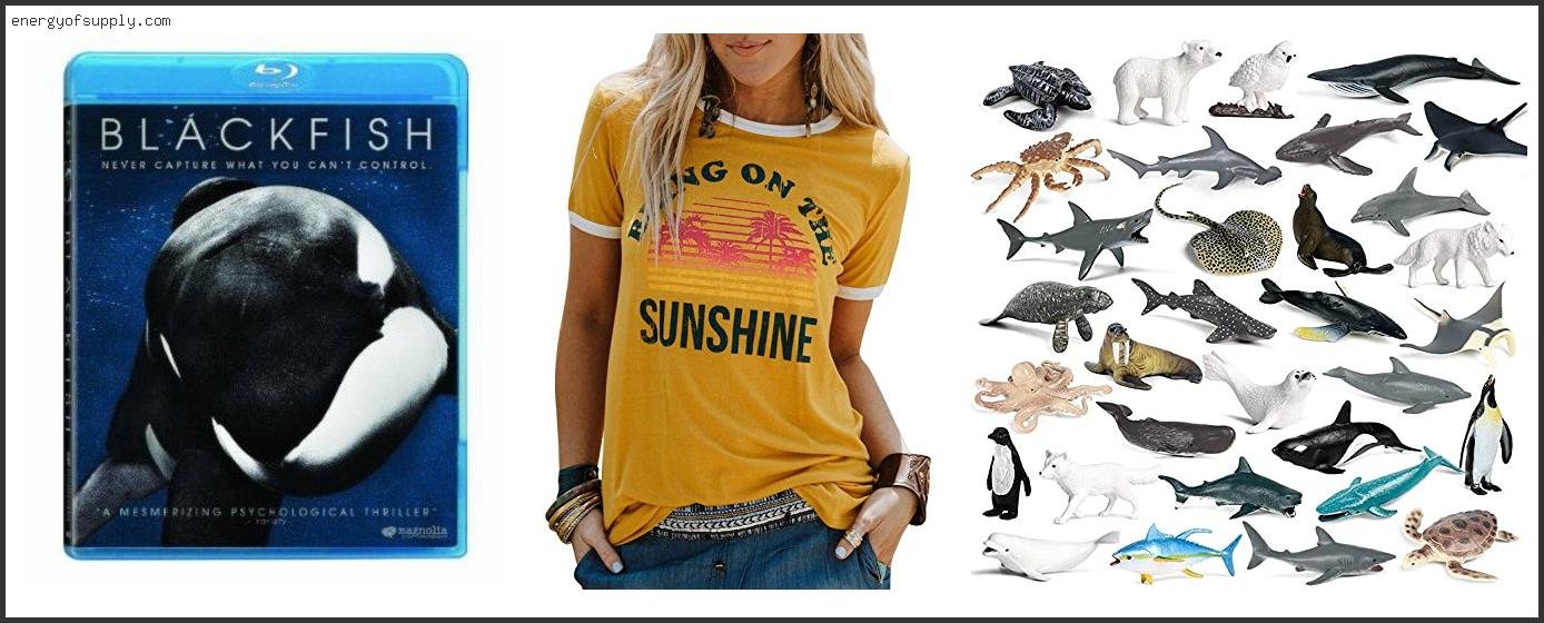 Top 10 Best Seaworld Deals 2025 ( Updated )