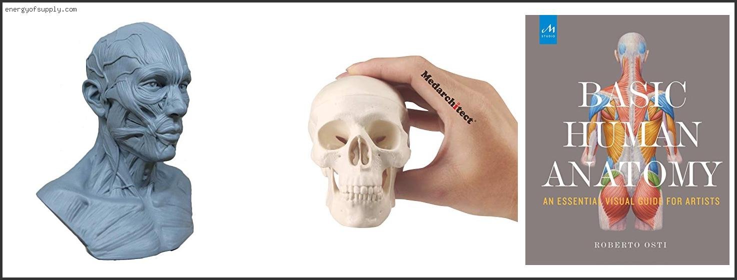 Best Skull Drawings