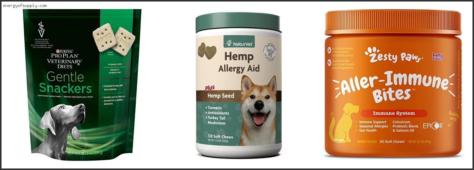 The Best Allergy Treats For Dogs Of The Year